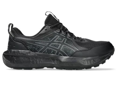 Мъжки маратонки за бягане ASICS GEL-SONOMA 8 GTX